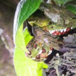 Kostaryka / Grażyna Woźniczka i Majka Szura