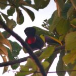 Kostaryka / Grażyna Woźniczka i Majka Szura