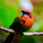 Kostaryka / Grażyna Woźniczka i Majka Szura