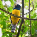 Kostaryka / Grażyna Woźniczka i Majka Szura