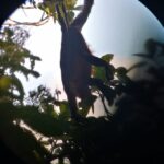 Kostaryka / Grażyna Woźniczka i Majka Szura