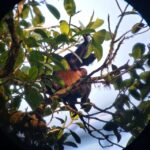 Kostaryka / Grażyna Woźniczka i Majka Szura