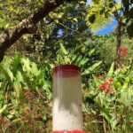 Kostaryka / Grażyna Woźniczka i Majka Szura