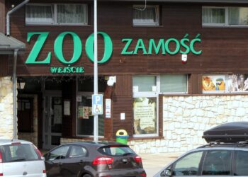 ZOO w Zamościu / Kamil Król / Radio Kielce