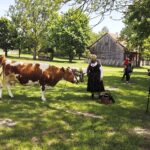 22.05.2020 Tokarnia. Otwarcie Muzeum Wsi Kieleckiej. / Jarosław Kubalski / Radio Kielce