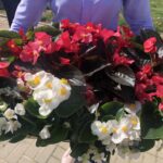 08.05.2020 Łoniów. Kwiaty od darczyńców dla domu dziecka. / Grażyna Szlęzak-Wójcik / Radio Kielce