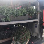 08.05.2020 Łoniów. Kwiaty od darczyńców dla domu dziecka. / Grażyna Szlęzak-Wójcik / Radio Kielce