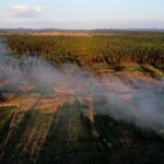 04.05.2020. Chełmce. Pożar pożar kurnika przerobionego na zakład meblarski / Jarosław Kubalski / Radio Kielce