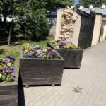 11.05.2020 Kielce. Mur parku przy ulicy Jana Pawła II / Jarosław Kubalski / Radio Kielce