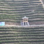 Wuhan. Chiny / Małgorzata Anna Jóźwiak i Marek Jóźwiak