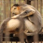 Wuhan. Chiny / Małgorzata Anna Jóźwiak i Marek Jóźwiak