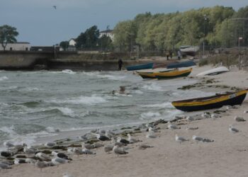 Plaża na Półwyspie Helskim / Robert Felczak / Radio Kielce