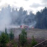 Wołów w gminie Bliżyn. Pożar lasu / Nadleśnictwo Suchedniów