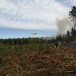 22.05.2020. Zbrojów. Pożar lasu / Nadleśnictwo Suchedniów