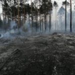 Leśnicy ostrzegają przed wysokim zagrożeniem pożarowym w lasach