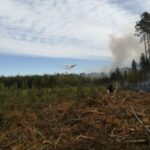 22.05.2020. Zbrojów. Pożar lasu / Nadleśnictwo Suchedniów