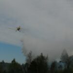 22.05.2020. Zbrojów. Pożar lasu / Nadleśnictwo Suchedniów