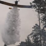 22.05.2020. Zbrojów. Pożar lasu / Nadleśnictwo Suchedniów