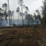 22.05.2020. Zbrojów. Pożar lasu / Nadleśnictwo Suchedniów