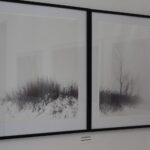 23.05.2020. Busko-Zdrój. Wystawa „Kapitał sztuki - suplement 2019” w Galerii „Zielona” / Marta Gajda / Radio Kielce