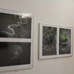 23.05.2020. Busko-Zdrój. Wystawa „Kapitał sztuki - suplement 2019” w Galerii „Zielona” / Marta Gajda / Radio Kielce