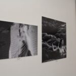 23.05.2020. Busko-Zdrój. Wystawa „Kapitał sztuki - suplement 2019” w Galerii „Zielona” / Marta Gajda / Radio Kielce