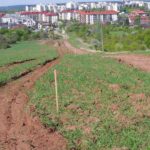 25.05.2020. Kielce. Dewastacja kieleckiej Dalni podczas prowadzonej budowy ścieżki rowerowej / Słuchacz