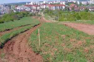 25.05.2020. Kielce. Dewastacja kieleckiej Dalni podczas prowadzonej budowy ścieżki rowerowej / Słuchacz