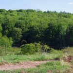 25.05.2020. Kielce. Dewastacja kieleckiej Dalni podczas prowadzonej budowy ścieżki rowerowej / Słuchacz