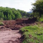 25.05.2020. Kielce. Dewastacja kieleckiej Dalni podczas prowadzonej budowy ścieżki rowerowej / Słuchacz