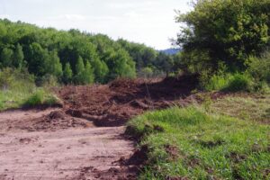 25.05.2020. Kielce. Dewastacja kieleckiej Dalni podczas prowadzonej budowy ścieżki rowerowej / Słuchacz