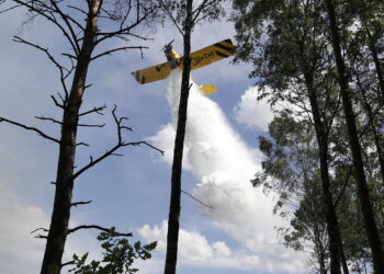 Pożar lasu w Snochowicach. W akcji samoloty gaśnicze