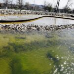 17.04.2020 Kielce. Ogród botaniczny / Jarosław Kubalski / Radio Kielce