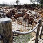 17.04.2020 Kielce. Ogród botaniczny / Jarosław Kubalski / Radio Kielce