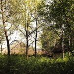 14.05.2020 Tokarnia. Muzeum Wsi Kieleckiej - Park Etnograficzny / Jarosław Kubalski / Radio Kielce