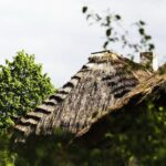 14.05.2020 Tokarnia. Muzeum Wsi Kieleckiej - Park Etnograficzny / Jarosław Kubalski / Radio Kielce