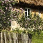 14.05.2020 Tokarnia. Muzeum Wsi Kieleckiej - Park Etnograficzny / Jarosław Kubalski / Radio Kielce