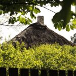 14.05.2020 Tokarnia. Muzeum Wsi Kieleckiej - Park Etnograficzny / Jarosław Kubalski / Radio Kielce