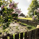 14.05.2020 Tokarnia. Muzeum Wsi Kieleckiej - Park Etnograficzny / Jarosław Kubalski / Radio Kielce