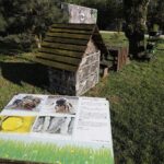 14.05.2020 Stawy, gmina Imielno. Gospodarstwo rybackie / Jarosław Kubalski / Radio Kielce