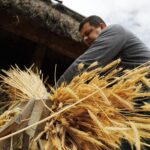 29.05.2020 Tokarnia. Tworzenie wykrętków ze słomy / Jarosław Kubalski / Radio Kielce