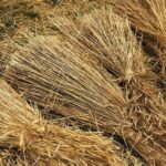 29.05.2020 Tokarnia. Tworzenie wykrętków ze słomy / Jarosław Kubalski / Radio Kielce