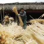 29.05.2020 Tokarnia. Tworzenie wykrętków ze słomy / Jarosław Kubalski / Radio Kielce