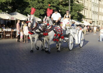 05.08.2017 Kraków. Rynek. Turyści. Dorożka. Konie / Jarosław Kubalski - Radio Kielce / Radio Kielce