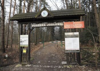 14.03.2020 Święta Katarzyna. Puszcza Jodłowa. Świętokrzyski Park Narodowy. Ścieżka edukacyjna śladem dawnej kolejki wąskotorowej / Jarosław Kubalski / Radio Kielce