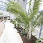 15.05.2020 Kielce. Hotel Binkowski. Baseny tropikalne w budowie / Jarosław Kubalski / Radio Kielce