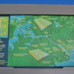 Panama / Majka Szura