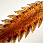 30.05.2020 Ekstremalna fotografia / Paweł Błachowicz