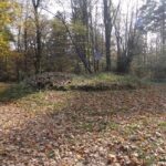 Kopiec księcia Adama Czartoryskiego na Św. Krzyżu / nowaslupia.pl