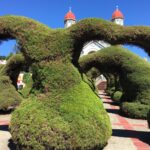 Kostaryka / Majka Szura